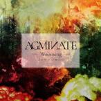 AGMINATE/Wooming[CD][ возвращенный товар вид другой A]