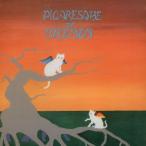 PICARESQUE OF BREMEN/pi Calle sk*ob* пятно - men [CD][ бумага жакет ][ возвращенный товар вид другой A]