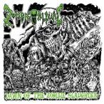 Dawn of the Zombie Slaughter/ZOMBIE RITUAL[CD][ возвращенный товар вид другой A]