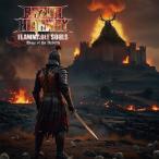 FLAMMABLE SOULS~Blaze Of The Rebirth/RAZOR HIGHWAY[CD][ возвращенный товар вид другой A]