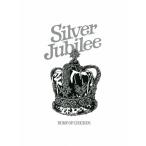 [枚数限定][限定版]BUMP OF CHICKEN TOUR 2022 Silver Jubilee at Zepp Haneda(TOKYO)/BUMP OF CHICKEN[Blu-ray]【返品種別B】