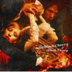 Black Cherry/Acid Black Cherry[CD]【返品種別A】