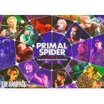 ショッピング初回 [先着特典付/初回仕様]THE RAMPAGE LIVE TOUR 2025 ”PRIMAL SPIDER” 〜巡らせる糸〜【DVD】/THE RAMPAGE from EXILE TRIBE[DVD]【返品種別A】