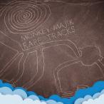 RARE TRACKS(DVD付)/MONKEY MAJIK[CD+DVD]【返品種別A】