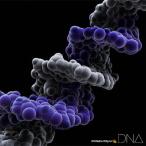 DNA(Blu-ray Disc付)/MONKEY MAJIK[CD+Blu-ray]【返品種別A】