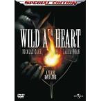  wild * at * Heart специальный * выпуск / Nicholas * Kei ji[DVD][ возвращенный товар вид другой A]