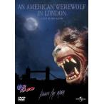 . мужчина american / David * Norton [DVD][ возвращенный товар вид другой A]