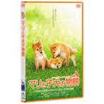  Мали .. собака. история стандартный * выпуск / судно . Британия один .[DVD][ возвращенный товар вид другой A]