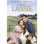 名犬ラッシー〜ラッシーの息子〜/ピーター・ローフォード[DVD]【返品種別A】