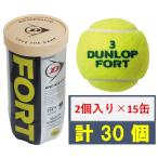 ショッピングダンロップ ダンロップ (2球入りボトル×15缶セット)硬式テニスボール DUNLOP FORT(ダンロップ フォート) 返品種別A
