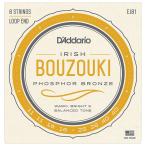 ダダリオ アイリッシュ・ブズーキ弦(Irish Bouzouki) D'Addario Other World Instruments EJ81 返品種別A