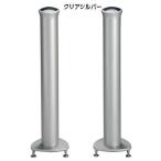  белый медведь Smart tower ( прозрачный серебряный )( динамик 2 шт. комплект ) {TD-3 SmartTower} TD-3SMARTT-CSL/ 2 ho n возвращенный товар вид другой A