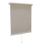 tachi кожа tio rio roll screen затемнение 2 класс ( Brown ) ( другой товар .. одновременно покупка не возможно ) производитель прямая поставка товар TIORIO-503-180-220 возвращенный товар вид другой B