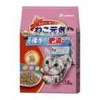 猫用ドライフード