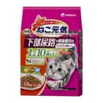 猫用ドライフード