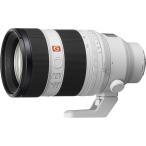 ソニー FE 50-150mm F2 GM SONY SEL50150GM 返品種別A