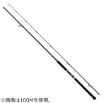  Daiwa 21 over там grande ( shore jigging модель ) 100M 10.0ft 2 деталь вращающийся возвращенный товар вид другой A