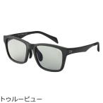 ダイワ TLX 027 トゥルービュー 返品種別A