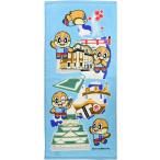 ��(Hayashi) �t�F�C�X�^�I�� ������� ���Ă��� FK423500 �ԕi���A