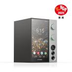 fi-o аудио -тактный Lee ma-FiiO FIO-R9-S возвращенный товар вид другой A