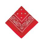 BACKYARD FAMILY( задний ярд Family ) PAISLEY BANDANNA(RED) возвращенный товар вид другой A