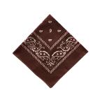 BACKYARD FAMILY( задний ярд Family ) PAISLEY BANDANNA(CHOCO) возвращенный товар вид другой A