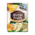 ミライフルーツ パイナップル ビタットジャパン (9ヶ月頃から) 返品種別B