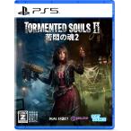 SOFT SOURCE (PS5)TORMENTED SOULS 2 возвращенный товар вид другой B