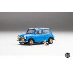 ゲインコーププロダクツ 1/ 64 オースチン ミニ 1000 DiecastTalk特注品(DTGSPC5)ミニカー 返品種別B