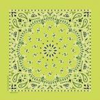 keniyon Classic бандана ( lime зеленый ) возвращенный товар вид другой A
