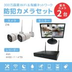ブロードウォッチ 300万画素ワイヤレス防犯カメラセット(カメラ2台/HDD容量:1TB) LCD 15.6インチ SEC-W-M2CH-16L-1T 返品種別A