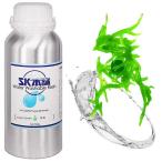 SK главный офис 3D принтер для SK промывание в воде resin 500g( зеленый цвет ) SK08W возвращенный товар вид другой B