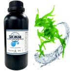 SK главный офис 3D принтер для SK промывание в воде resin 1000g( зеленый цвет ) SK08WLPB возвращенный товар вид другой B