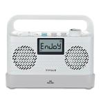ショッピングラジオ innowa ワイドFM/ AMラジオ対応 ワイヤレスお手元テレビ用スピーカー TS001 返品種別A