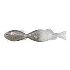 issei ギルギル 2.8インチ(ベビーシャイナー/ 稚魚)6本 ／3日〜6日で出荷／ 返品種別A