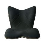 Style スタイルプレミアム(ブラック) Style PREMIUM YS-AL03A 返品種別B