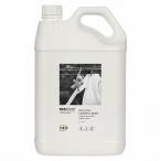 エコストア洗濯洗剤 ユーカリ 5L エコストアジャパン 返品種別A