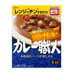 カレー職人 スパイシーチキンカレ