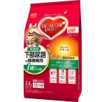 猫用ドライフード