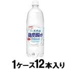 伊賀の天然水 強炭酸