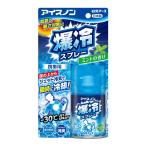アイスノン 爆冷スプレー ミントの香り 95ml(在庫処分) 白元アース 返品種別A
