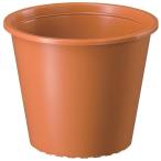  pra горшок 7 номер ( Brown ) Yamato пластик возвращенный товар вид другой A