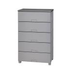 天馬 フィッツチェストフルフラット 6505 5段(グレー) Fits チェスト フルフラット FCH-F6505GR 返品種別A