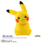 タカラトミー てのひらピカチュウ ぽけふわ 返品種別B