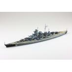 アオシマ 1/ 700 ウォーターライン No.618 ドイツ海軍 戦艦 ビスマルクプラモデル 返品種別B