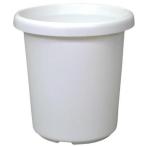  длина горшок F type 8 номер ( белый ) Apple одежда - возвращенный товар вид другой A