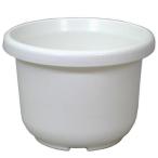  колесо горшок F type 8 номер ( белый ) Apple одежда - возвращенный товар вид другой A