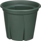  корень .....4 номер зеленый Apple одежда - возвращенный товар вид другой A