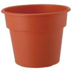 AP pot 6 номер ( терракота ) Apple одежда - возвращенный товар вид другой A