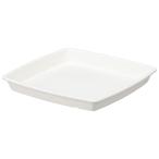  craft квадратное plate 25 type ( белый ) Apple одежда - возвращенный товар вид другой A